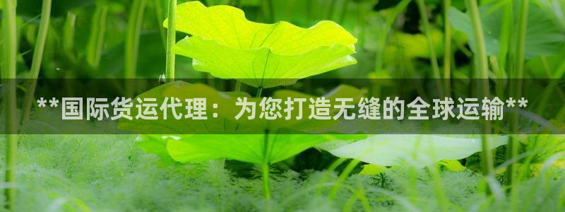 尊龙专访视频：**国际货运代理：为您打造无缝的全球运输*