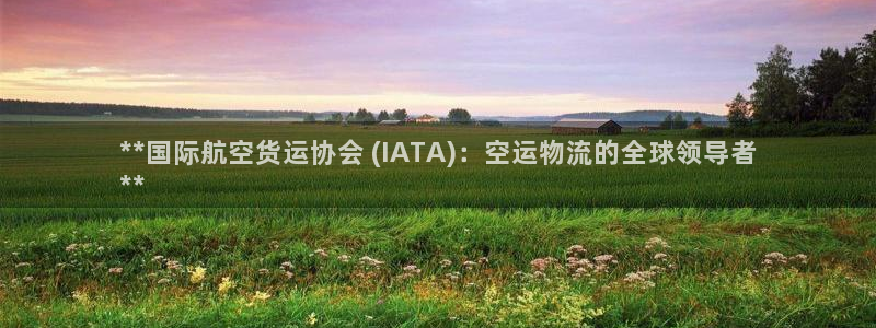 尊龙专访视频：**国际航空货运协会 (IATA)：空运物