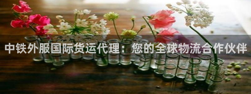 尊龙,人生就是博!登录国际：中铁外服国际货运代理：您的全