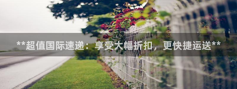 尊龙官网手机版：**超值国际速递：享受大幅折扣，更快捷运