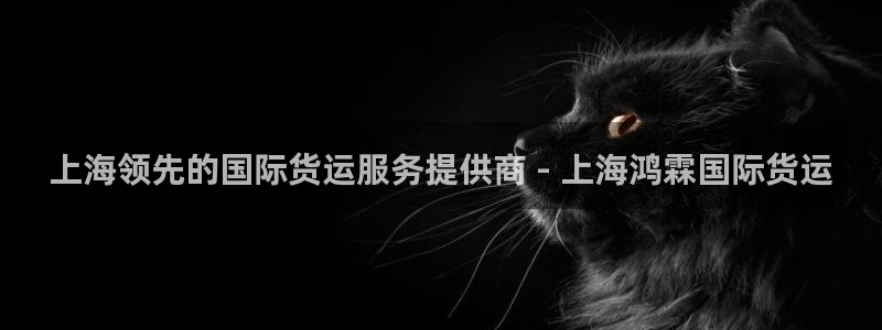 尊龙实业有限公司是正规还是仿：上海领先的国际货运服务提供