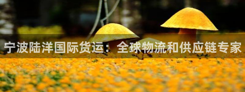 尊龙凯时官网网页版：宁波陆洋国际货运：全球物流和供应链专