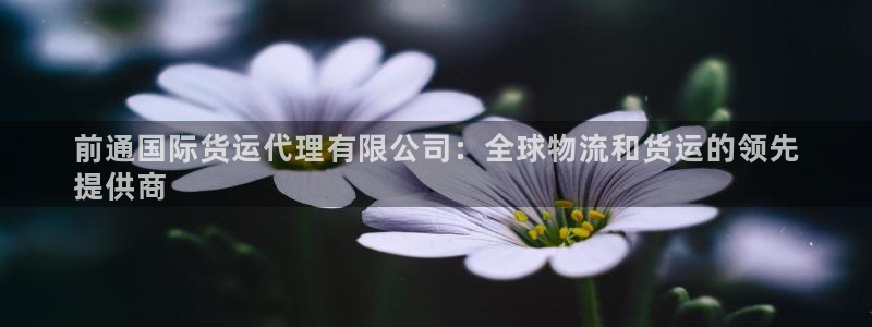 尊龙凯时注册入口：前通国际货运代理有限公司：全球物流和货
