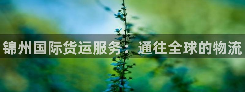 尊龙人生就是博旧版手机可靠送38元：锦州国际货运服务：通