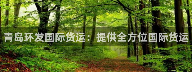 尊龙凯时人生就是搏包装优势：青岛环发国际货运：提供全方位