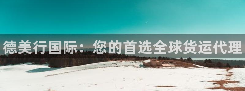 尊龙凯时的企业文化：德美行国际：您的首选全球货运代理