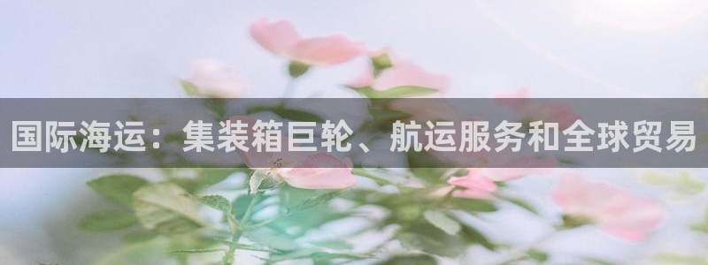 尊龙官网/首选kpm：国际海运：集装箱巨轮、航运服务和全