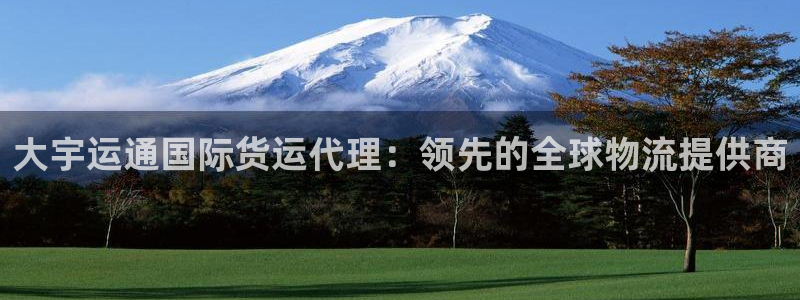 尊龙是什么软件：大宇运通国际货运代理：领先的全球物流提供