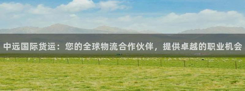 尊龙凯时-人生就是博中国官网首页：中远国际货运：您的全球