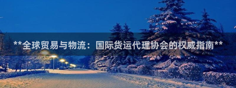 尊龙官网手机版：**全球贸易与物流：国际货运代理协会的权