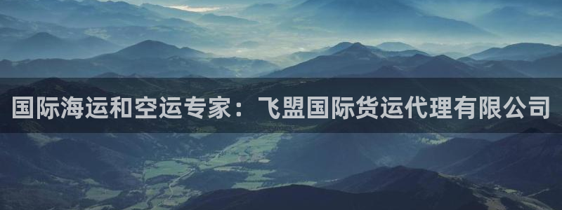 尊龙凯时人生就是博官网登录：国际海运和空运专家：飞盟国际