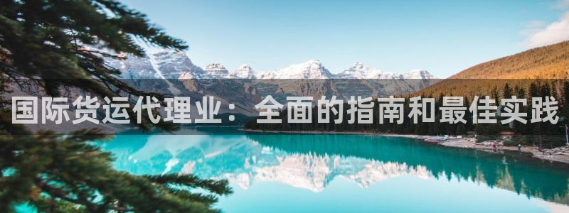 尊龙凯时v7要冲多少：国际货运代理业：全面的指南和最佳实