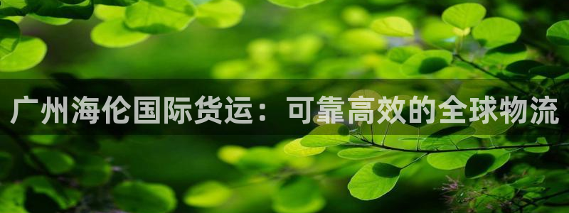 d88尊龙手机客户端下载：广州海伦国际货运：可靠高效的全