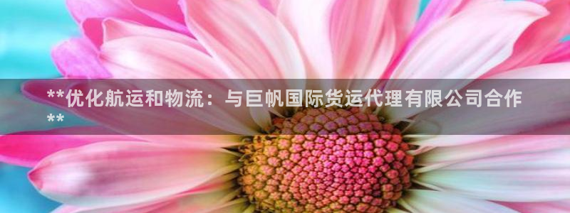 尊龙—人生就是博：**优化航运和物流：与巨帆国际货运代理