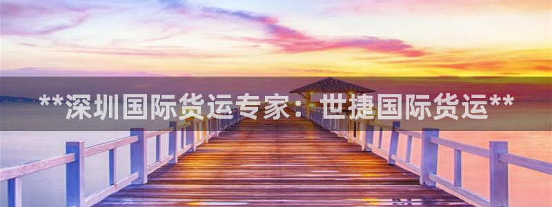 尊龙体育正规么：**深圳国际货运专家：世捷国际货运**