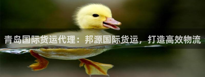 尊龙新版官网网页版：青岛国际货运代理：邦源国际货运，打造