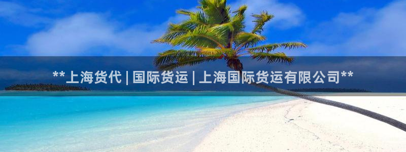 尊龙新版手机app下载：**上海货代 | 国际货运 | 