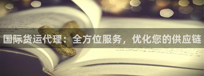 尊龙官网地址：国际货运代理：全方位服务，优化您的供应链