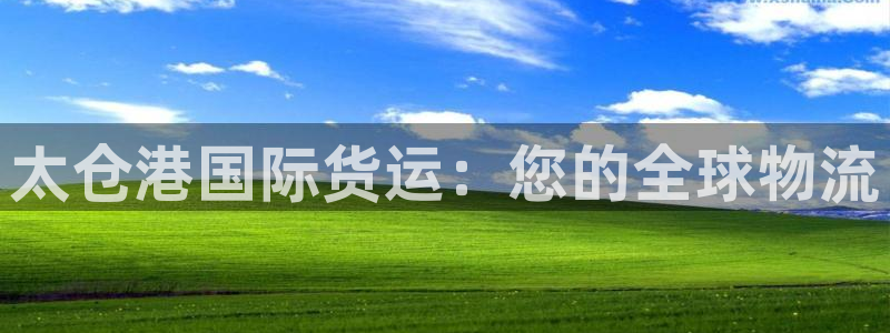尊龙凯时 人生就是搏：太仓港国际货运：您的全球物流