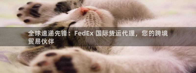 尊龙凯时ag旗舰厅官：全球速递先锋：FedEx 国际货运