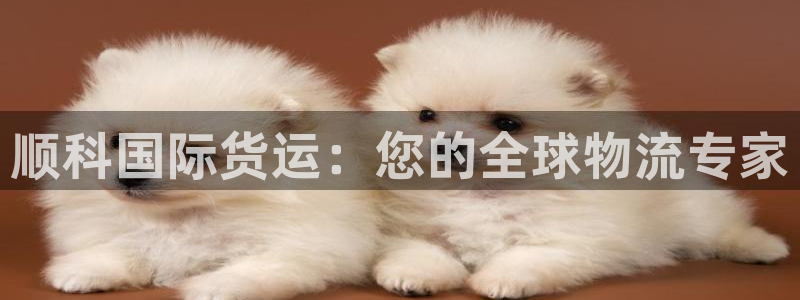 尊龙凯时怎么注销账号：顺科国际货运：您的全球物流专家