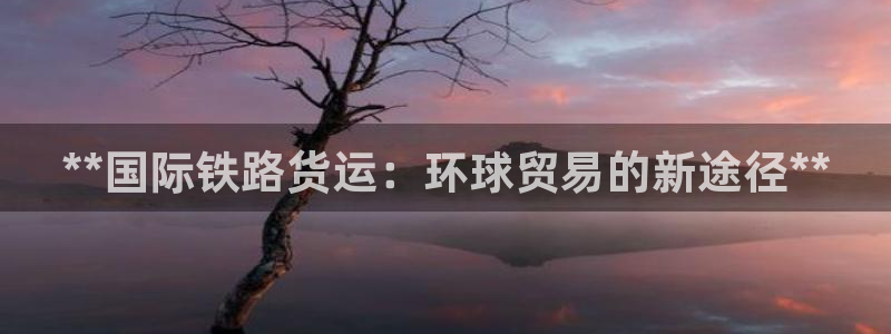 尊龙 am i blue：**国际铁路货运：环球贸易的新