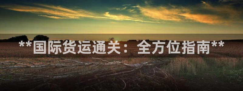 尊龙凯时老板：**国际货运通关：全方位指南**