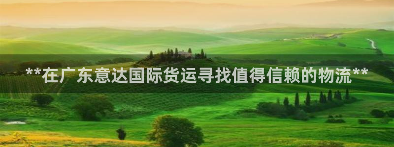 尊龙现金d88：**在广东意达国际货运寻找值得信赖的物流
