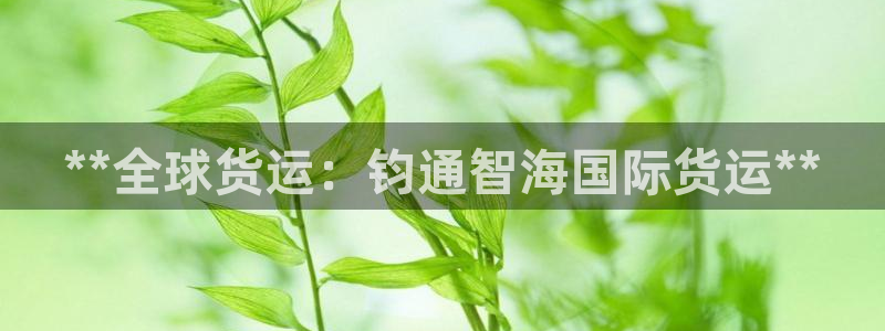 尊龙凯时是直营吗：**全球货运：钧通智海国际货运**
