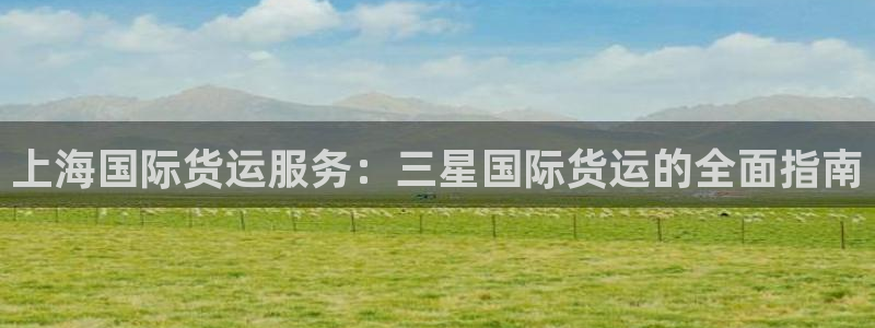 尊龙z6平台：上海国际货运服务：三星国际货运的全面指南