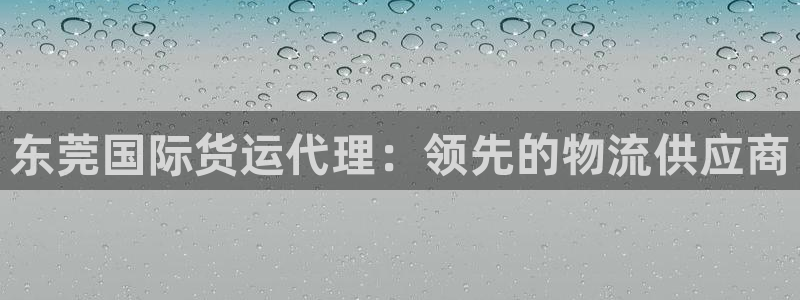 尊龙网站手机下载：东莞国际货运代理：领先的物流供应商
