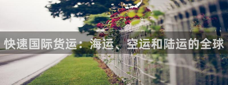 尊龙凯时登陆入口：快速国际货运：海运、空运和陆运的全球