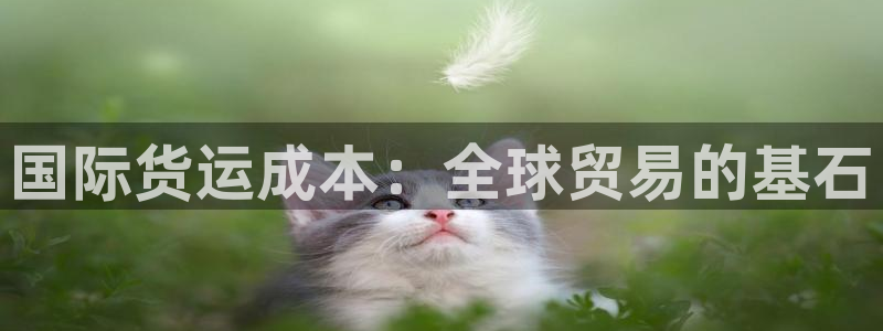 尊龙凯时提不了款：国际货运成本：全球贸易的基石