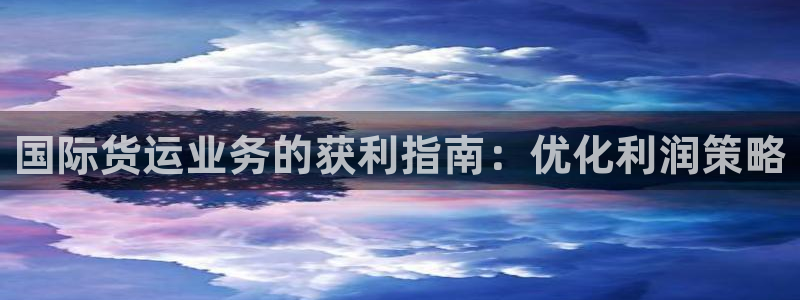 尊龙凯时人生就博：国际货运业务的获利指南：优化利润策略