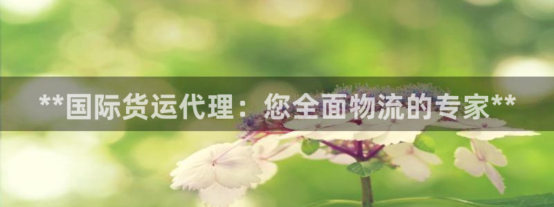 尊龙凯时官网正规吗：**国际货运代理：您全面物流的专家*