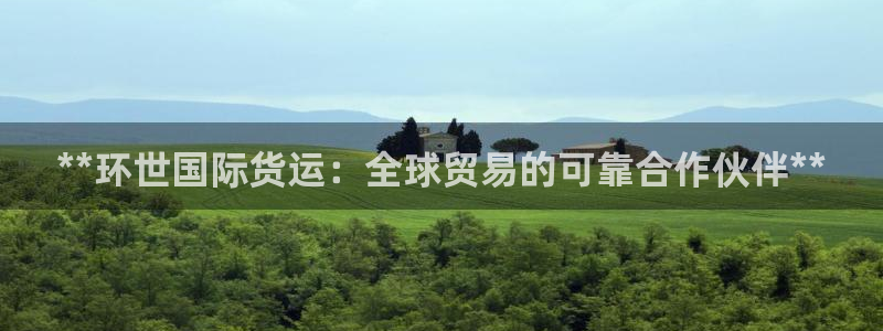 尊龙 6：**环世国际货运：全球贸易的可靠合作伙伴**