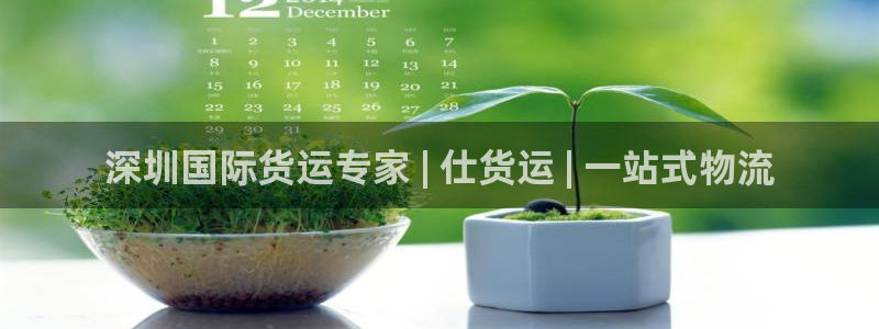 尊龙凯时老板：深圳国际货运专家 | 仕货运 | 一站式物