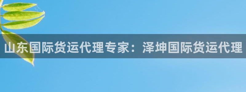 尊龙凯时平台官网：山东国际货运代理专家：泽坤国际货运代理
