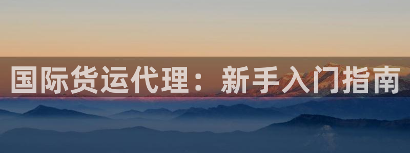 尊龙登录地址：国际货运代理：新手入门指南
