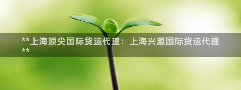 尊龙手机客户端下载：**上海顶尖国际货运代理：上海兴源国