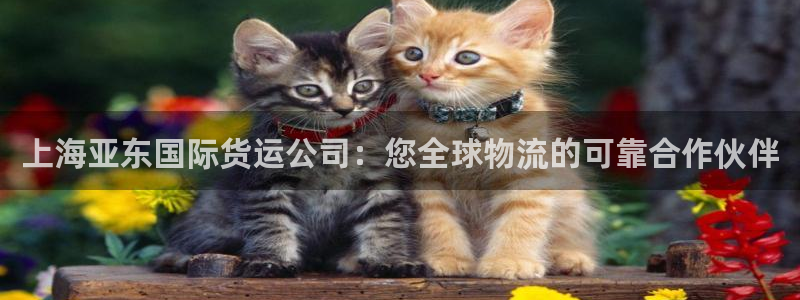 尊龙凯时平台有没有不到账的：上海亚东国际货运公司：您全球