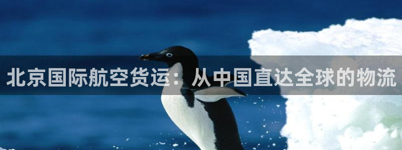 尊龙凯时官网：北京国际航空货运：从中国直达全球的物流