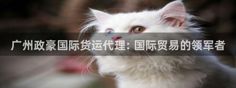 尊龙/人生就是博：广州政豪国际货运代理: 国际贸易的领军