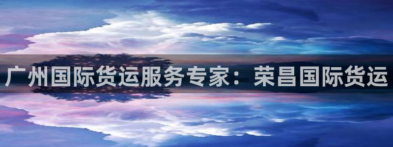 尊龙目前照片：广州国际货运服务专家：荣昌国际货运