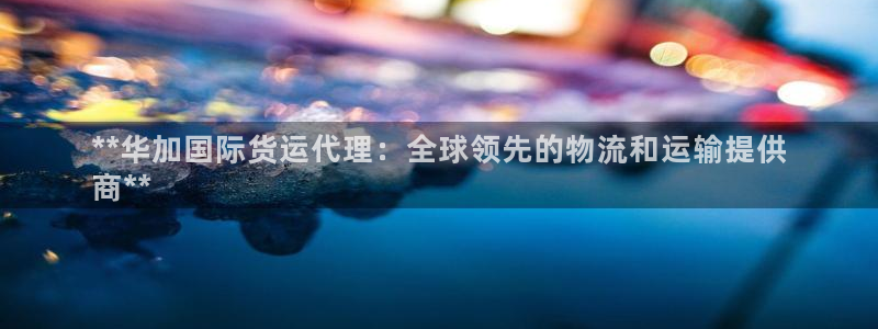 尊龙人生就是博AG：**华加国际货运代理：全球领先的物流