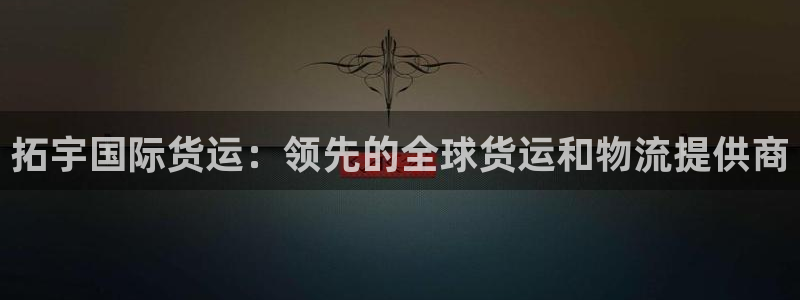 尊龙凯时是大平台吗：拓宇国际货运：领先的全球货运和物流提