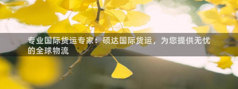 尊龙d88ag官方网站：专业国际货运专家：硕达国际货运，