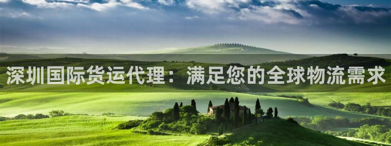 尊龙凯时官方网页：深圳国际货运代理：满足您的全球物流需求