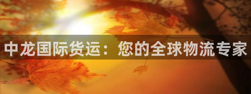 尊龙旗舰厅：中龙国际货运：您的全球物流专家
