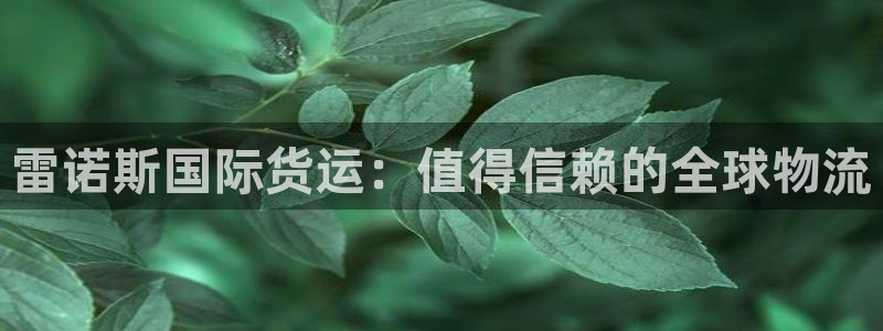尊龙app|首选agdaohang：雷诺斯国际货运：值得